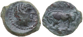 Sicily. Gela. AE Onkia, 420-405 BC. Obv. Head of river god right. Rev. Bull butting left; in exergue, pellet. CNS III 5; HGC 2 382. AE. 1.16 g. 12.00 ...