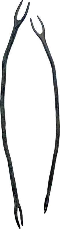 DOUBLE FORK IMPLEMENT Greek world or Roman period, c. 3rd century BC - 3rd centu...