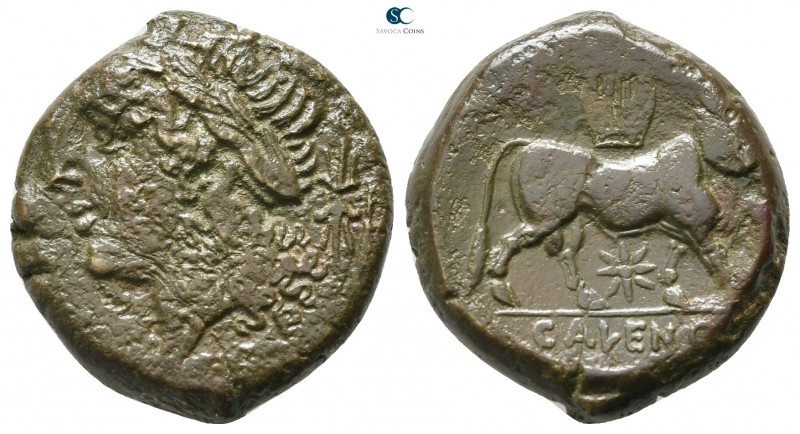 Campania. Cales circa 265-240 BC. 
Bronze Æ

20 mm., 7,17 g.



very fine...