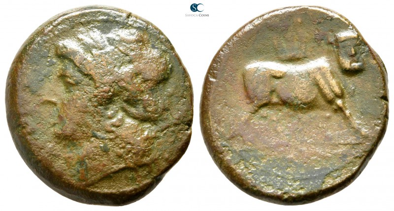 Campania. Uncertain mint or Cales circa 265-240 BC. 
Bronze Æ

21 mm., 6,84 g...