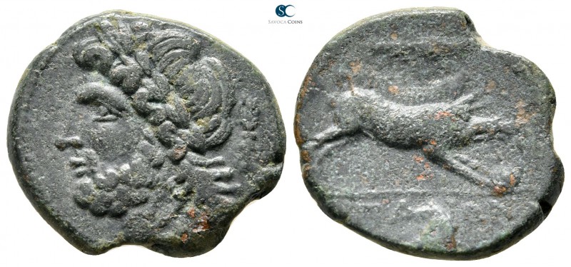 Apulia. Arpi circa 325-275 BC. 
Bronze Æ

22 mm., 6,45 g.



very fine