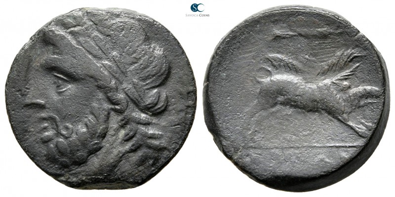 Apulia. Arpi circa 300 BC. 
Bronze Æ

19 mm., 6,32 g.



very fine