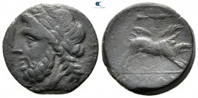 Apulia. Arpi circa 300 BC. Bronze Æ