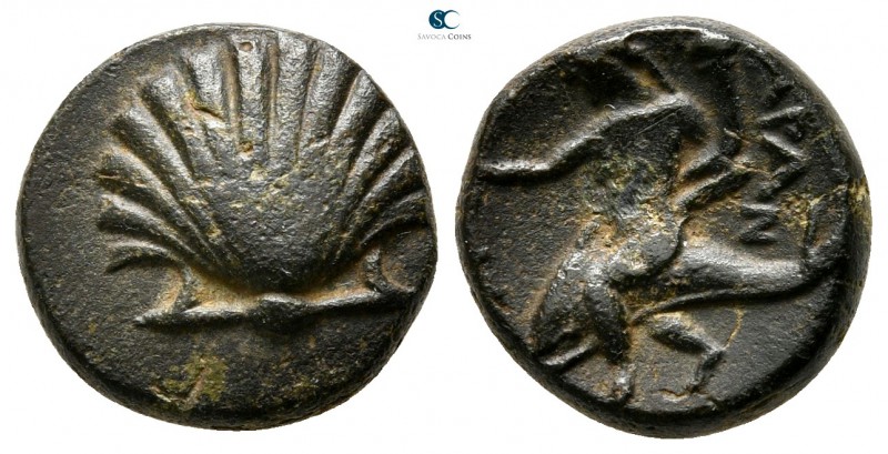 Calabria. Tarentum circa 275-200 BC. 
Bronze Æ

13 mm., 3,08 g.



very f...