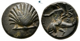 Calabria. Tarentum circa 275-200 BC. Bronze Æ