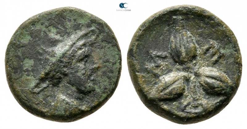 Lucania. Metapontion circa 300-250 BC. 
Bronze Æ

12 mm., 2,04 g.



very...