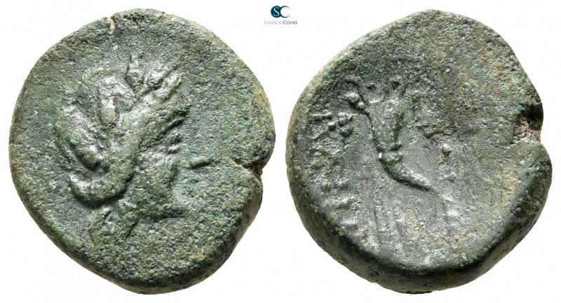 Sicily. Aitna 210-180 BC. 
Bronze Æ

16 mm., 3,92 g.



very fine