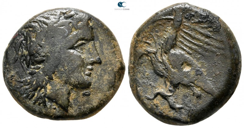 Sicily. Akragas. Phintias. Tyrant 275-240 BC. 
Bronze Æ

21 mm., 8,53 g.

...