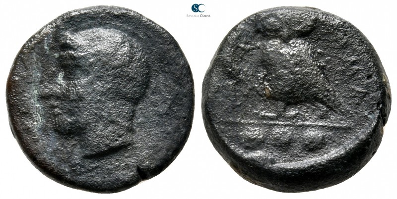 Sicily. Kamarina circa 420-405 BC. 
Tetras or Trionkion Æ

13 mm., 2,66 g.
...