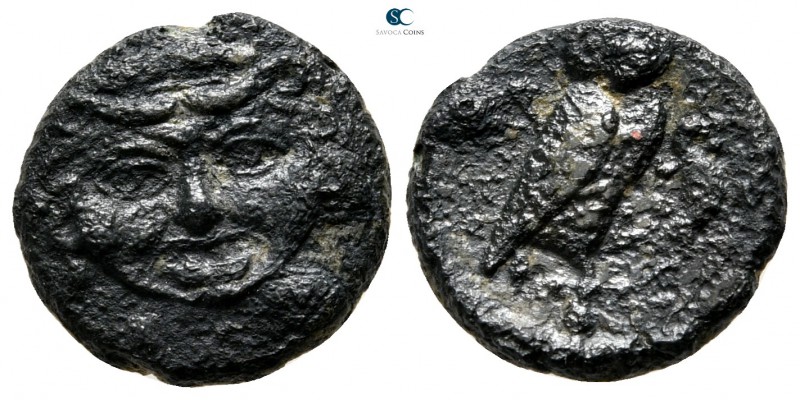 Sicily. Kamarina circa 420-405 BC. 
Onkia Æ

12 mm., 1,31 g.



nearly ve...