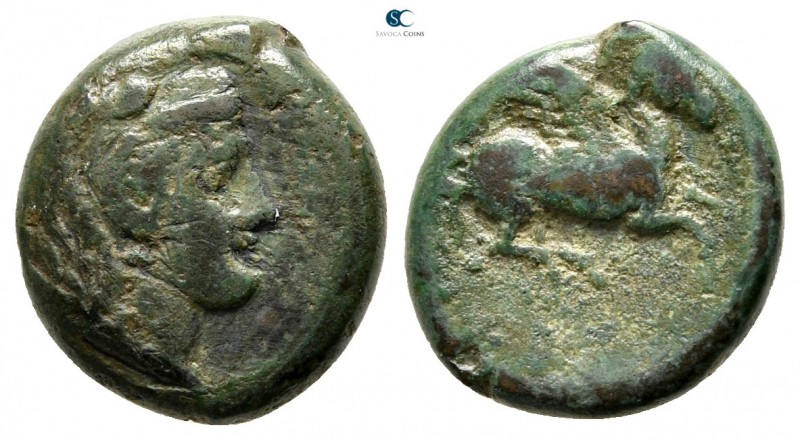 Sicily. Kephaloidion circa 400-200 BC. 
Bronze Æ

13 mm., 2,33 g.



near...