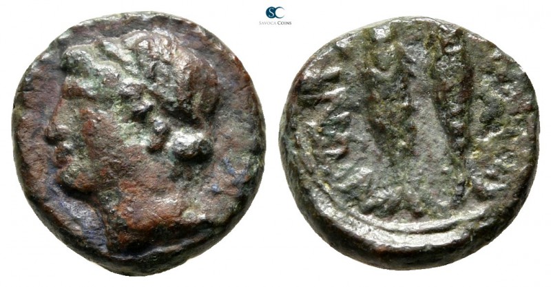 Sicily. Leontinoi circa 250 BC. 
Bronze Æ

12 mm., 1,76 g.



very fine
