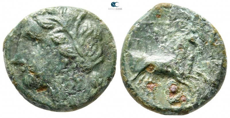 Sicily. Syracuse. Hieron II circa 275-215 BC. 
Bronze Æ

17 mm., 4,20 g.

...
