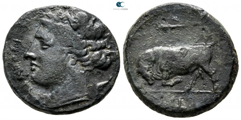 Sicily. Syracuse. Hieron II 275-215 BC. 
Hemilitron Æ

20 mm., 5,98 g.


...