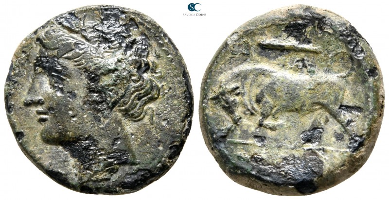 Sicily. Syracuse. Hieron II 275-215 BC. 
Hemilitron Æ

19 mm., 5,86 g.


...