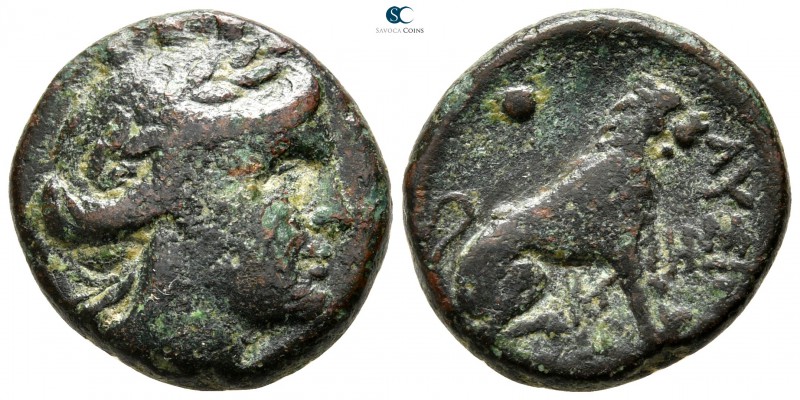 Thrace. Lysimacheia 309-220 BC. 
Bronze Æ

18 mm., 6,01 g.



nearly very...