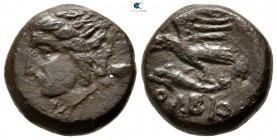 Sarmatia. Olbia circa 350-300 BC. Bronze Æ