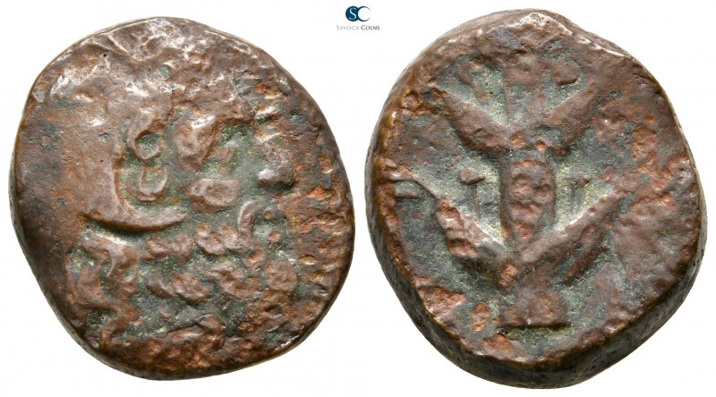 Cyrenaica. Koinon of Cyrenaica circa 250 BC. 
Bronze Æ

22 mm., 13,04 g.

...