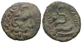 Mysia. Pergamon. Attalos II. Philadelphos. (160-139 BC). Bronze Æ. Obv: head of Zeus right. Rev: snake.. Weight 4,21 gr - Diameter 18 mm