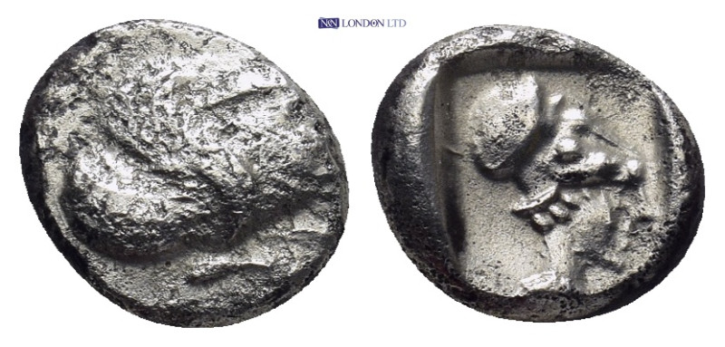 Caria, Ialysos, AR Diobol, (1.3 g, 11mm). Circa 480-408 BC. Obv: Forepart of win...