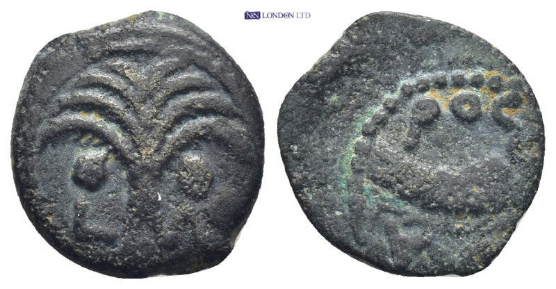 Judaea, Procurators. Marcus Ambibulus. 9-12 C.E. AE prutah (15mm, 2.13 g). Prefe...