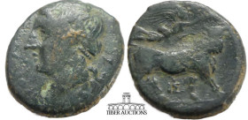 CAMPANIA, Cales. 265-240 BC. Æ 20. Laureate head of Apollo left / Man-headed bull standing right, crowned by Nike above. 20 mm, 4.57 g.