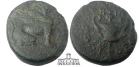 IONIA, Teos, c. 370-330 BC. Æ 17. Metrodoros, magistrate. Griffin seated r., l. paw raised. R/ Kantharos; grape bunch above. 17 mm, 3.71 g