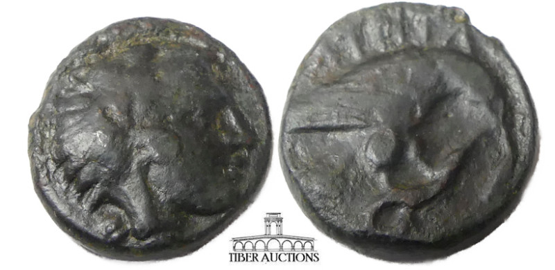 KINGS of MACEDON. Amyntas III. 393-370/69 BC. Æ Unit. Head of Herakles right, we...