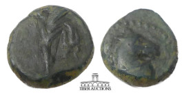 PONTOS, Uncertain. Circa 130-100 BC. Æ 10. Head of horse right / Palm frond tied with fillet. Cf. SNG BM Black Sea 984 (similar types, but with stars)...