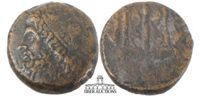 SICILY, Syracuse. Hieron II. 275-215 BC. Æ Litra. Struck 263-218 BC. Head of Poseidon left, wearing tainia / Ornamented trident head; flanked by dolph...