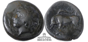 SICILY, Syracuse. Agathokles. 317-289 BC. Æ Hemilitron. Struck circa 317-310 BC. Wreathed head of Kore left; symbol behind neck / Bull butting left; a...
