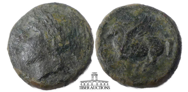 SICILY, Syracuse. Timoleon and the Third Democracy. 344-317 BC. Æ 17. 2nd series...