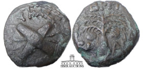 JUDAEA, Procurators. Antonius Felix. 52-59 CE. Æ Prutah. Dated RY 14 (54 CE). Two crossed shields / Palm tree. 17 mm, 2.40 g.