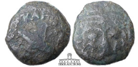 JUDAEA, Procurators. Antonius Felix. 52-59 CE. Æ Prutah. Dated RY 14 (54 CE). Two crossed shields / Palm tree. 17 mm, 2.46 g.