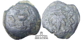 JUDAEA. First Jewish War. 66-70 CE. Æ Prutah. Dated year 2 (67/8 CE). 'Year 2', footed amphora, no lid / "Of the freedom of Zion", grape vine. 17 mm, ...