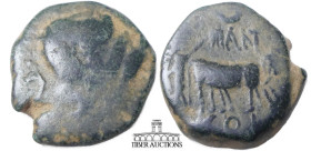 PISIDIA, Antioch. Titus, as Caesar, AD 69-79. Æ 21. T CES IMP PONT, laureate head to right / Founder ploughing to right with yoke of oxen; crescent an...