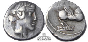 Q. Titius. 90 BC. AR Denarius. Rome mint. Head of young Bacchus (or Liber) right, wearing ivy wreath / Pegasus springing right on tablet inscribed Q •...