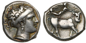 CAMPANIE, NEAPOLIS, AR didrachme, vers 350-325 av. J.-C. D/ T. de nymphe à d., portant une boucle d'oreille et un collier. R/ NEOΠΟΛΙΤHΣ Taureau andro...