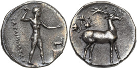 BRUTTIUM, CAULONIA, AR statère, 420-410 av. J.-C. D/ Apollon nu, les cheveux tenus par la taenia, avançant à d., ten. une branche de laurier et le bra...