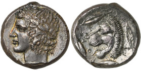 SICILE, LEONTINOI, AR tétradrachme, vers 425 av. J.-C. D/ T. l. d'Apollon à g. R/ ΛEON-TI-NON T. de lion à g., entourée de trois grains de blé et d'un...