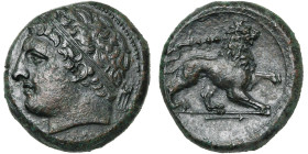 SICILE, SYRACUSE, AE bronze, 289-287 av. J.-C. D/ ΣYPAKOΣΙΩN T. d'Héraclès jeune à g. Derrière, un trépied. R/ Lion marchant à d. Au-dessus, une massu...