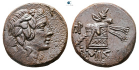 Pontos. Amisos. Time of Mithradates VI Eupator circa 120-63 BC. Bronze Æ