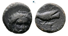 Mysia. Adramytteion circa 400-300 BC. Bronze Æ