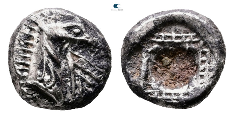 Caria. Kindya circa 510-480 BC. 
Tetrobol AR

10 mm, 1,73 g



Very Fine