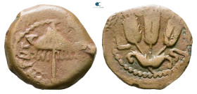Judaea. Jerusalem. Herodians. Agrippa I AD 37-43. Prutah Æ