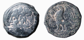 APULIA - VENUSIA (268-217 a.C.) QUINCUNX gr. 16,1 - D/Testa di Zeus a s. con dietro cinque globetti R/Aquila con ali spiegate rivolta a s. a sinistra ...