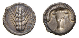 LUCANIA - METAPONTUM (Circa 470-440 a.C.) TRIOBOLO gr.1,2 - D/Spiga con a d. la scritta MET R/Bucranio incuso - Ar - Sng.Ans.266 SPL