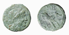 LUCANIA - POSEIDONIA (circa 300-268 a.C.) SESTANTE gr. 2,4 - D/Testa di Demetra a d. entro cerchio perlinato R/Cinghiale a d. con sopra la scritta ΠAI...