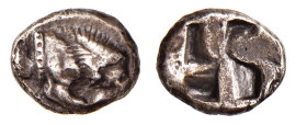 LUCANIA - VELIA (circa 535-465 a.C.) DRACMA gr.3,3 - D/Il leone che mangia la preda R/Quadrato incuso - Ar - HN Italy 1259 - Sng.Ans. 1202-1210 BB