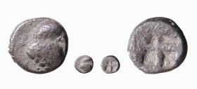 LUCANIA - VELIA (V° sec. a.C.) OBOLO gr.0,41 - D/Protome leonina mentre mangia R/Quadrato incuso quadripartito - Ar - Sng.Ans 1211 - 1224 BB